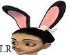 Animated Black Bunny Ear