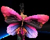 pink and purple wings