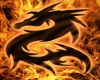 fire dragon egg