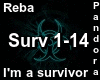 Reba :: Im a survivor