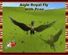 |AM| Aigle Royal Fly