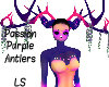 Passion Purple Antlers
