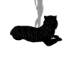 lion 3