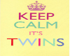 Keep Calm It's Twins