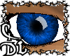 CdL OceanShine Eyes (F)