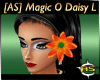 [AS] Magic O Daisy L