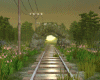 Forest Passage PR