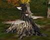 Mushroom Tree Stump