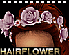 Rose & Daisy Hairflower