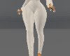 OW/SW/CO