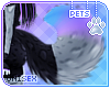 [Pets] Amanda | tail v3