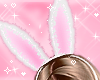Bunny Ears Pink