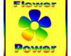  Flower Power