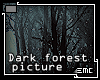 [Dark forest wall]