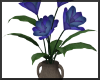 Purple/Blue Flowers