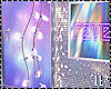 Bundle Holographic P R