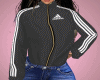 Track Suit Gray