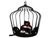 *LL* green Cage Swing