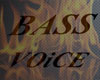 bass voice