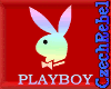 Playboy Neon Sign