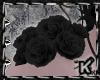 |K| Black Roses Shoulder