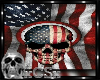CS American Skull