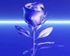 Blue Frozen Rose