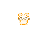 Sugar Kitten Orange