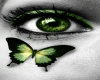 Butterfly Eye