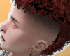 Mullet - Red