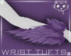 TuftsW Purple 2a Ⓚ