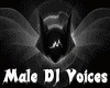 Male DJ Voices