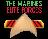 TNG Marine Comm Badge F
