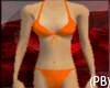 (PB)A Sexy Orange Bikini