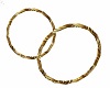 Gold Hoop Earrings