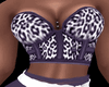 Emma's Corset Set S3