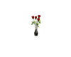 Give her a rose