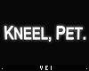 v. Kneel, Pet