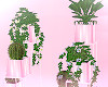 ! pink plant pots♡