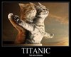 TItanic Cat