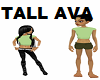Taller Avatar (Female)