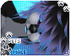 [Pets] Umba | hair v4