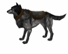 Dark Wolf