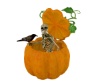 halloween raven gourd sk