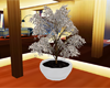 (IKY2) POTTED TREE 1