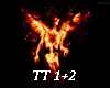 Fireangel Dj Light