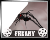 Wicked Animated Spider