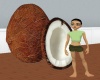 Coconut~LG~