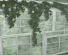 Flower Wall Vines