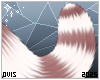 ⍥ | Suhn Tail